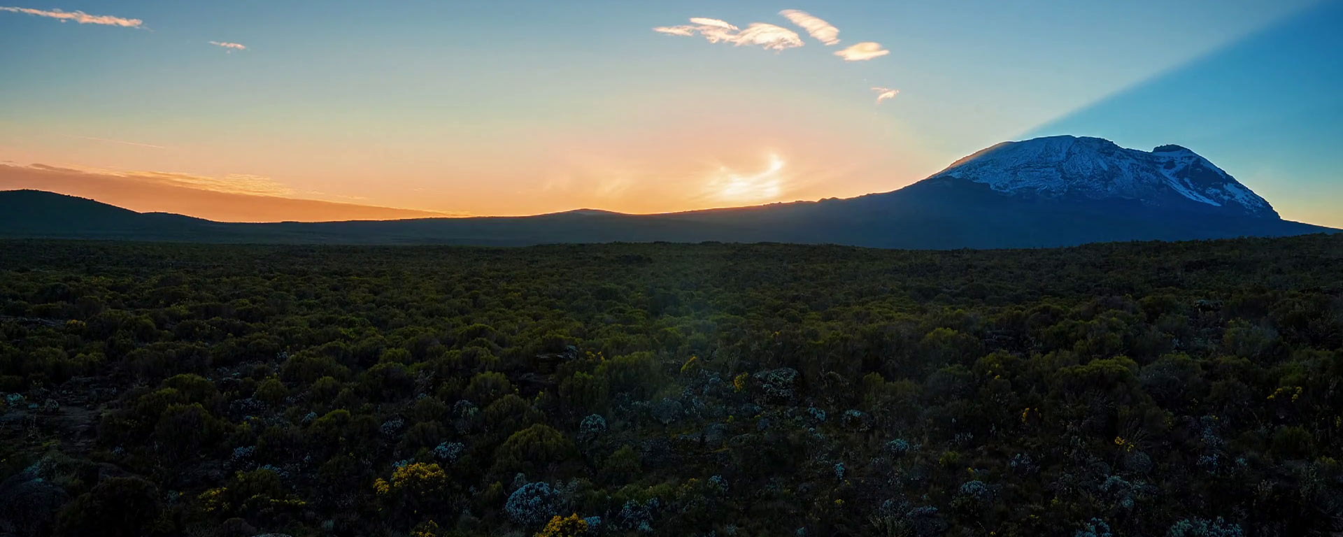 Kilimanjaro